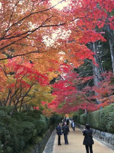 Momiji