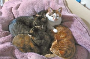 Our "Gang"