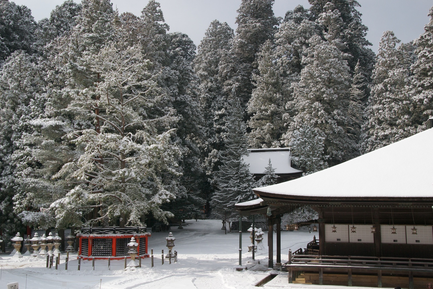wpid-Koya14-2010-12-27-15-28.jpg