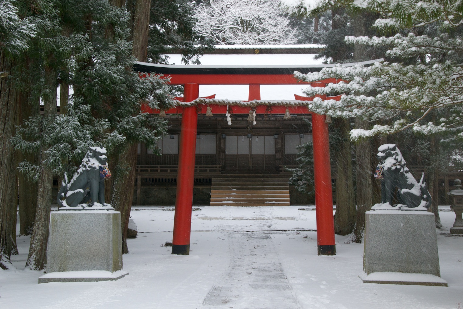wpid-Koya15-2010-12-27-15-28.jpg