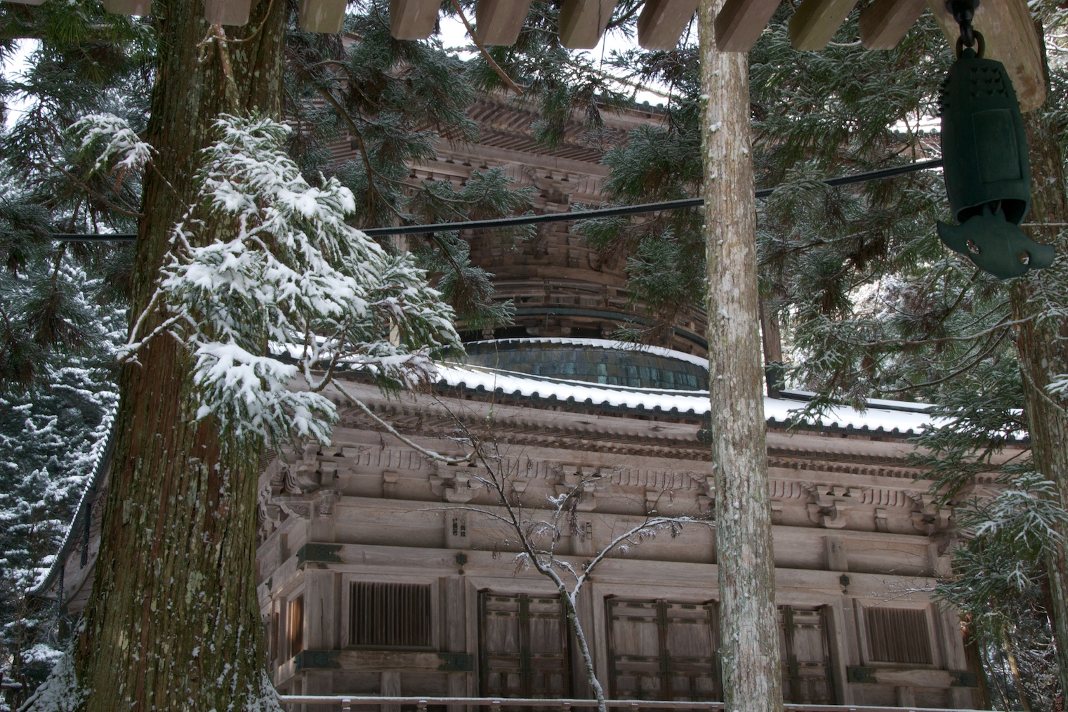 wpid-Koya16-2010-12-27-15-28.jpg
