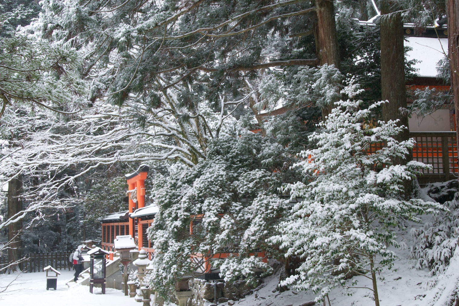 wpid-Koya17-2010-12-27-15-28.jpg